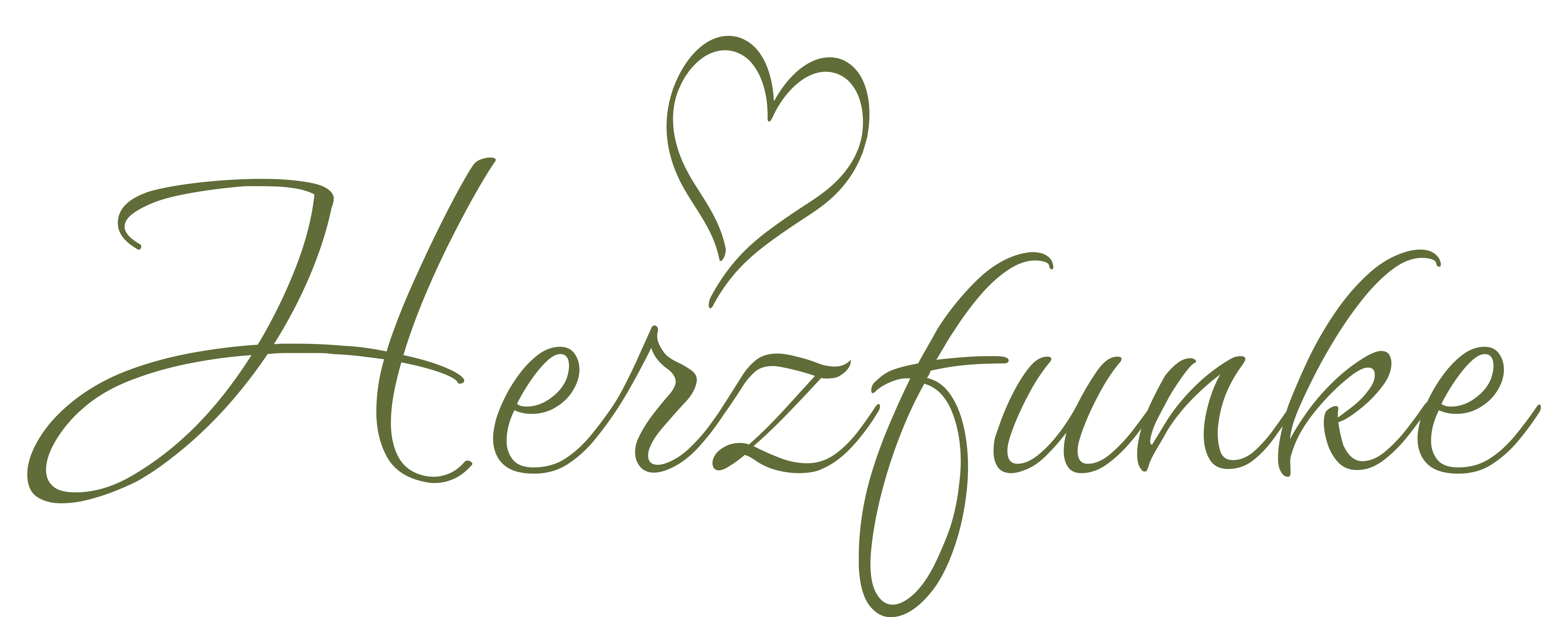 Herzfunke Logo